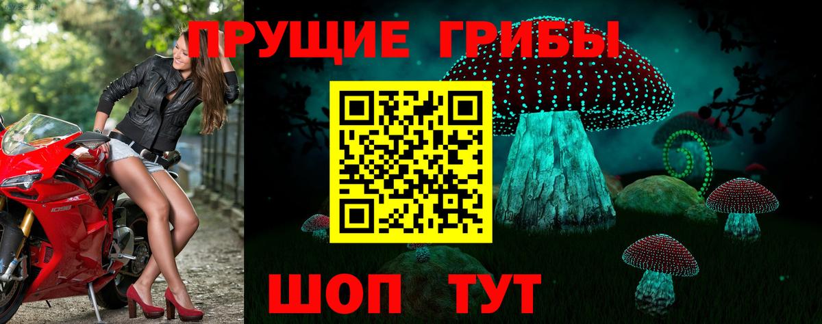 Галлюциногенные грибы мицелий  Псилоцибиновые грибы Magic Shrooms  Полевской  Вход с VPN 